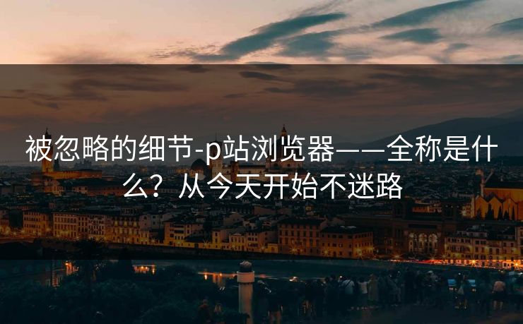 被忽略的细节-p站浏览器——全称是什么？从今天开始不迷路