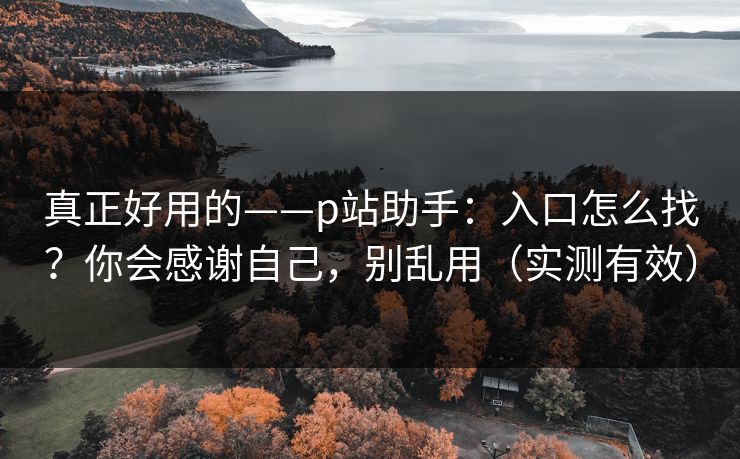 真正好用的——p站助手：入口怎么找？你会感谢自己，别乱用（实测有效）