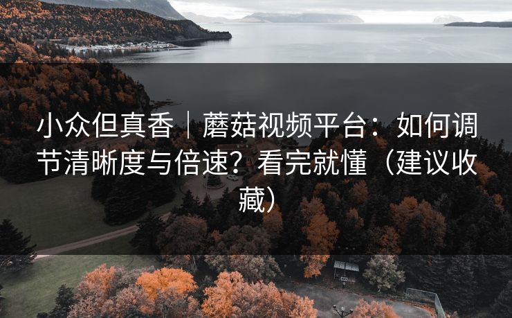 小众但真香｜蘑菇视频平台：如何调节清晰度与倍速？看完就懂（建议收藏）