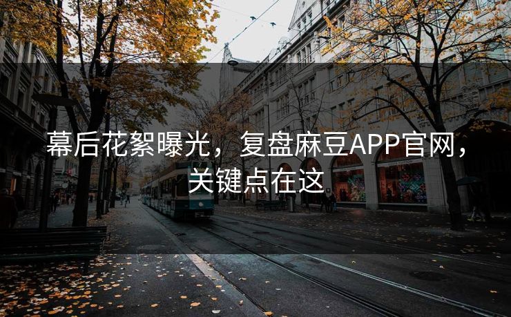 幕后花絮曝光，复盘麻豆APP官网，关键点在这
