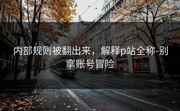 内部规则被翻出来，解释p站全称-别拿账号冒险