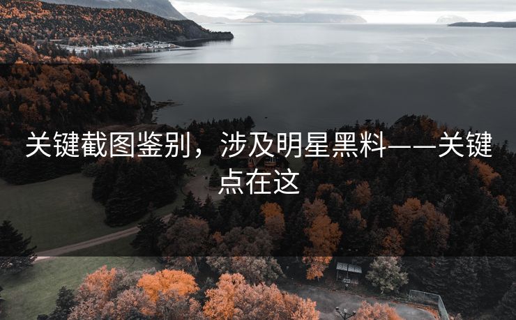 关键截图鉴别，涉及明星黑料——关键点在这