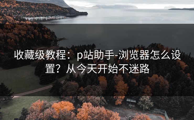 收藏级教程：p站助手-浏览器怎么设置？从今天开始不迷路
