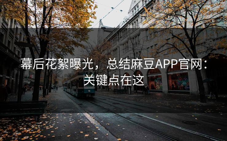 幕后花絮曝光，总结麻豆APP官网：关键点在这