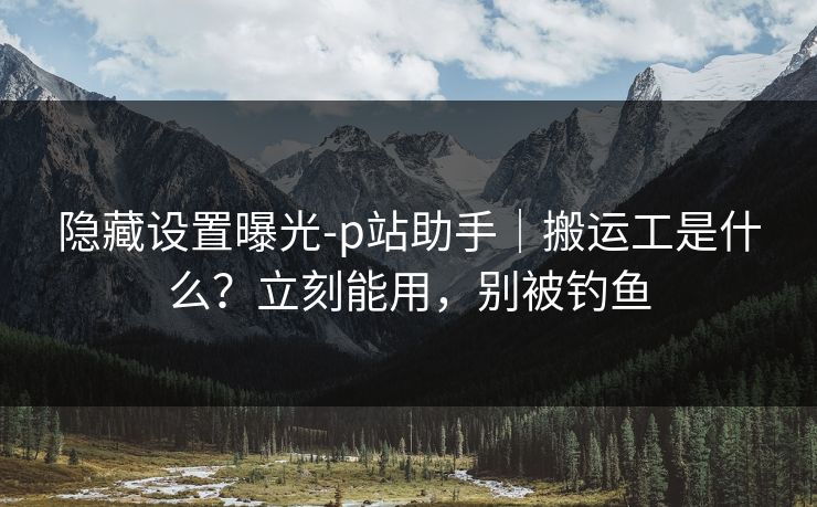 隐藏设置曝光-p站助手｜搬运工是什么？立刻能用，别被钓鱼
