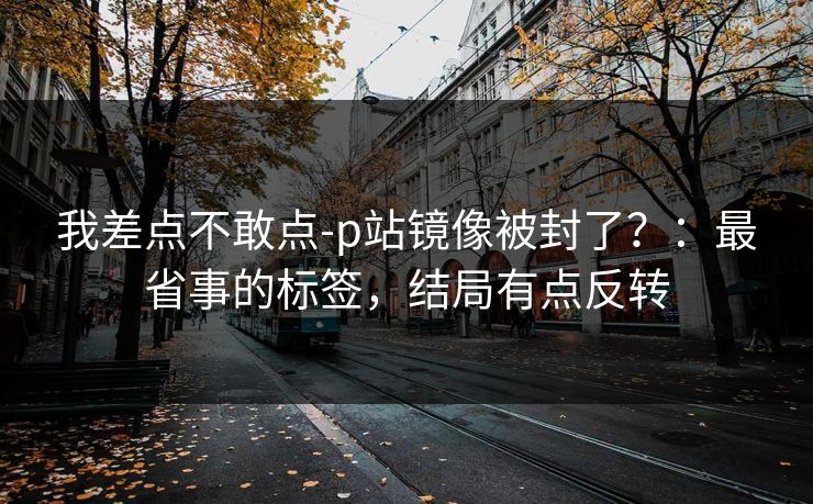 我差点不敢点-p站镜像被封了？：最省事的标签，结局有点反转