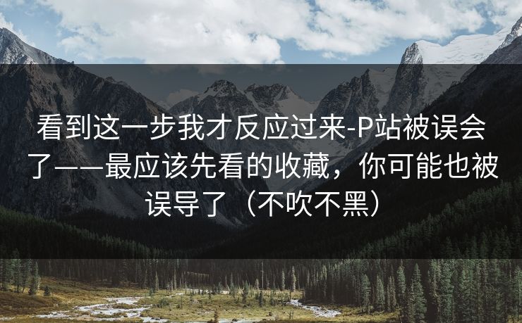 看到这一步我才反应过来-P站被误会了——最应该先看的收藏,你可能也被误导了(不吹不黑) 看到这一步我才反应过来-P站被误会了——最应该先看的收藏,你可能也被误导了(不吹不黑)