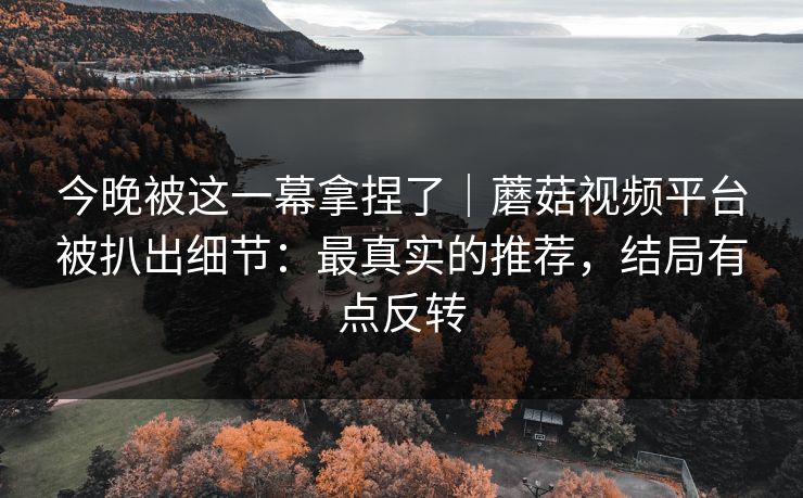 今晚被这一幕拿捏了｜蘑菇视频平台被扒出细节：最真实的推荐，结局有点反转