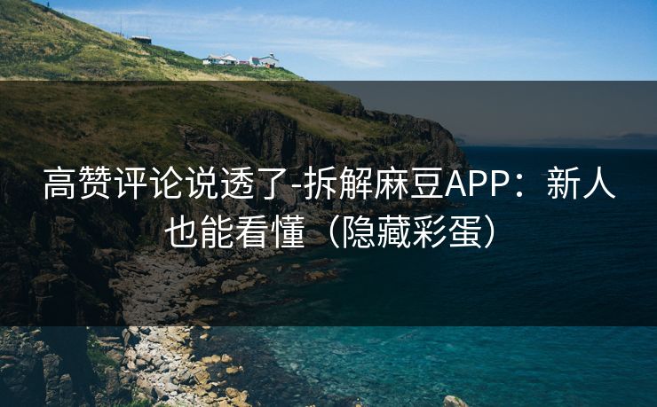 高赞评论说透了-拆解麻豆APP：新人也能看懂（隐藏彩蛋）